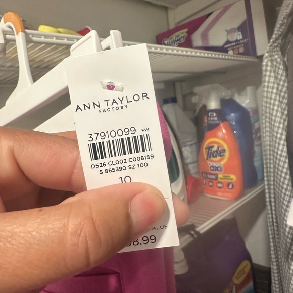 Ann Taylor Fuchsia Ankle Pants - Picture 6 of 6